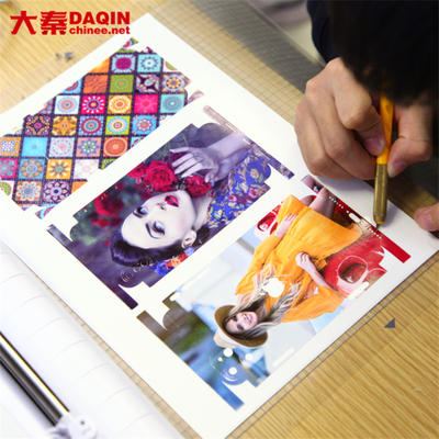 Daqin Custom Die Cut Vinyl Stickers Machine Beauty Master-software voor snijden